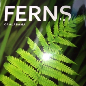 Ferns Of Alabama